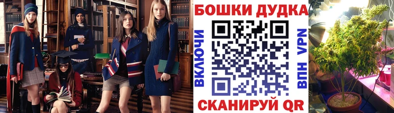 Как найти закладки Славгород Конопля  ЭКСТАЗИ  Мефедрон  APVP 