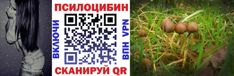Галлюциногенные грибы мицелий  площадка клад  Славгород 