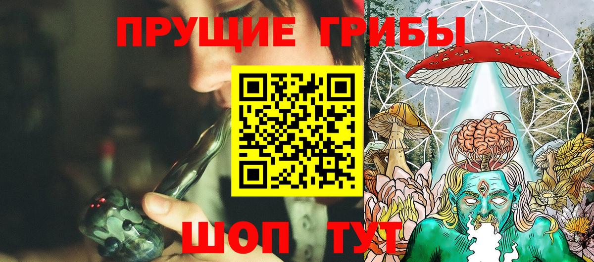 Галлюциногенные грибы Psilocybe  Вход с VPN  даркнет сайт  Славгород 