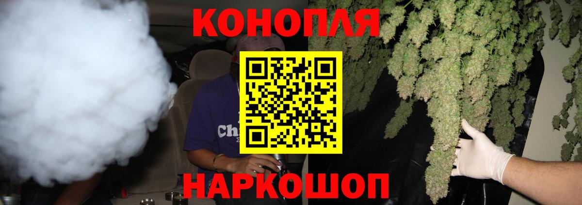 Бошки марихуана Bruce Banner Славгород
